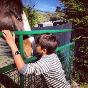 Kissing Henry. (Square Peg Foundation/Robyn Peters Photography )